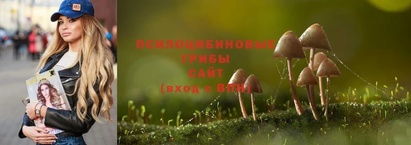 винт Аксай