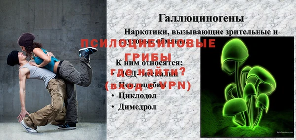 дмт Надым
