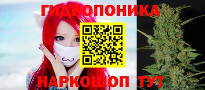 трава Кингисепп