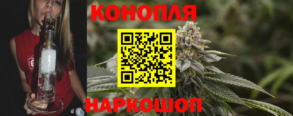 Конопля план Прокопьевск
